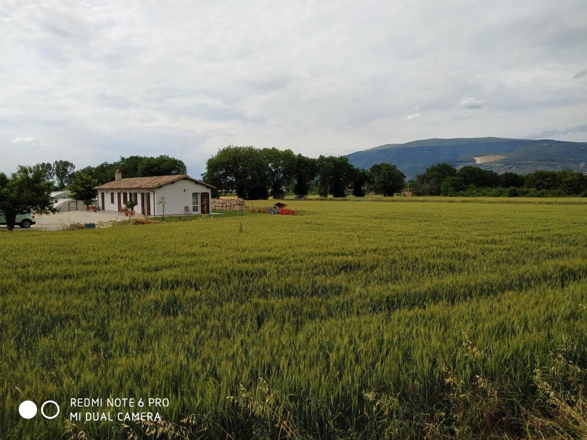 Agriturismo " Le Serre" 스펠로 외부 사진