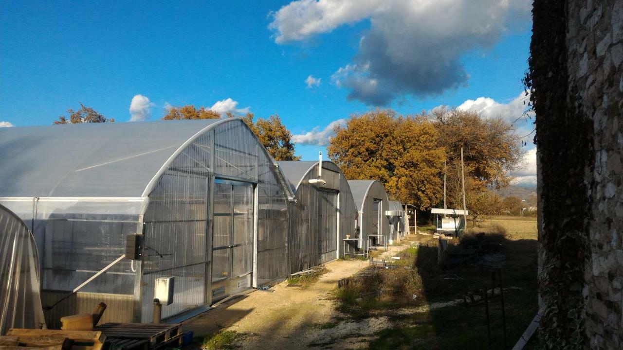 Agriturismo " Le Serre" 스펠로 외부 사진