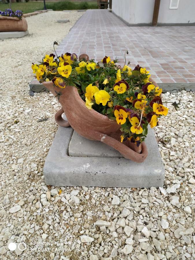 Agriturismo " Le Serre" 스펠로 외부 사진