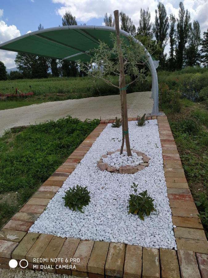Agriturismo " Le Serre" 스펠로 외부 사진