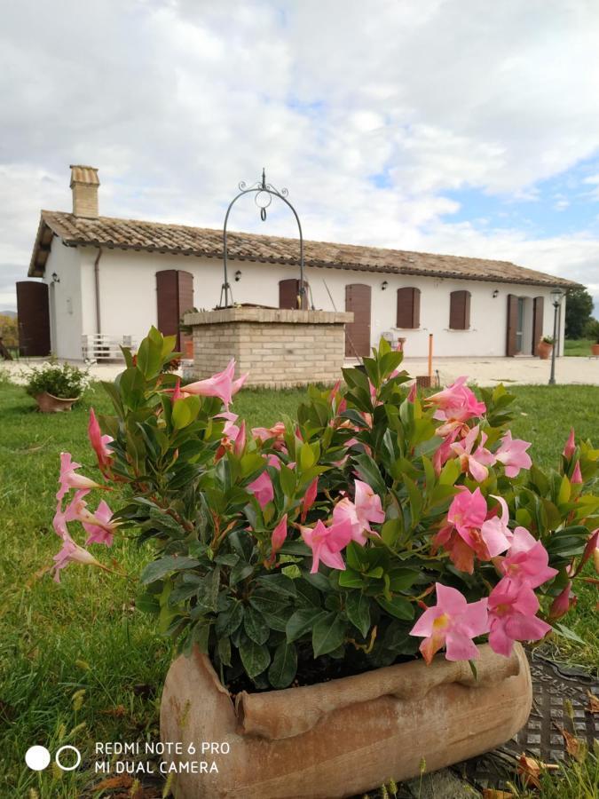 Agriturismo " Le Serre" 스펠로 외부 사진